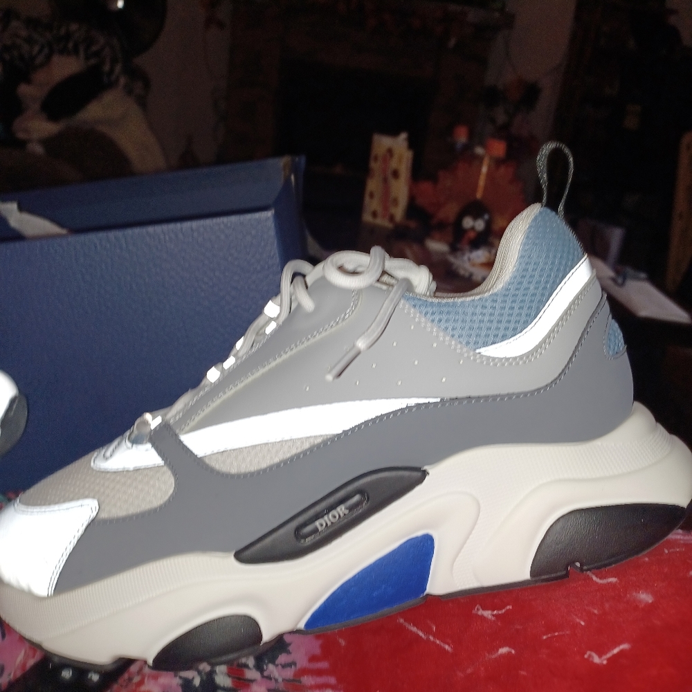 Dior sneakers